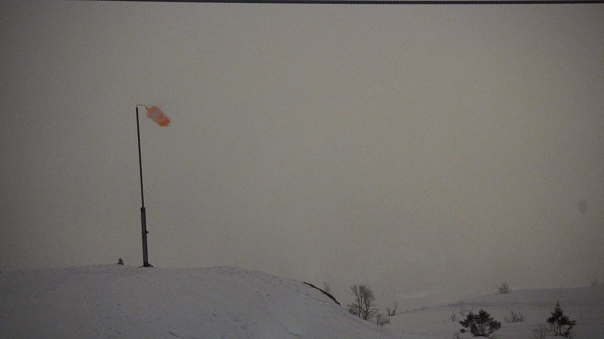 Snowcam