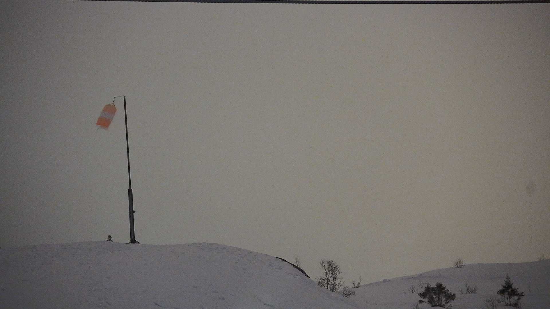 Snowcam