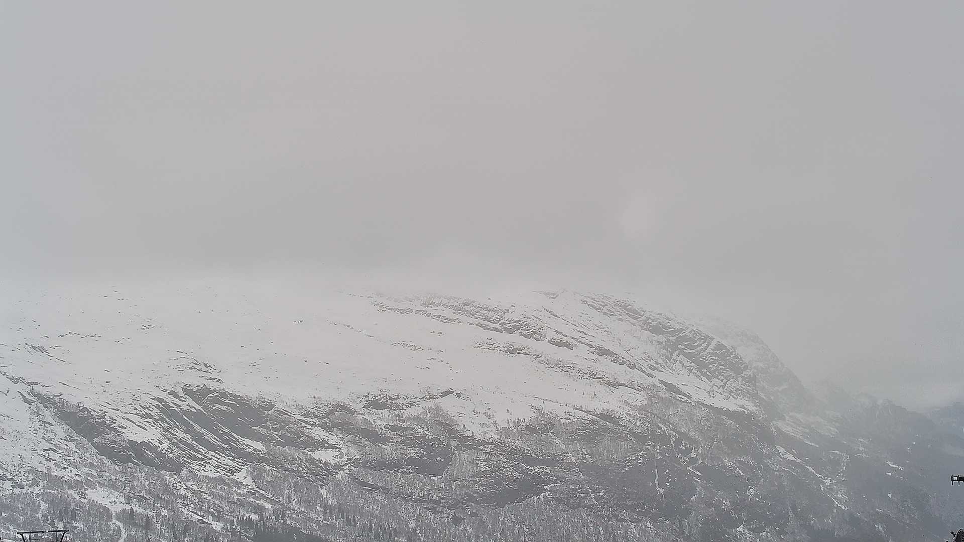 Snowcam
