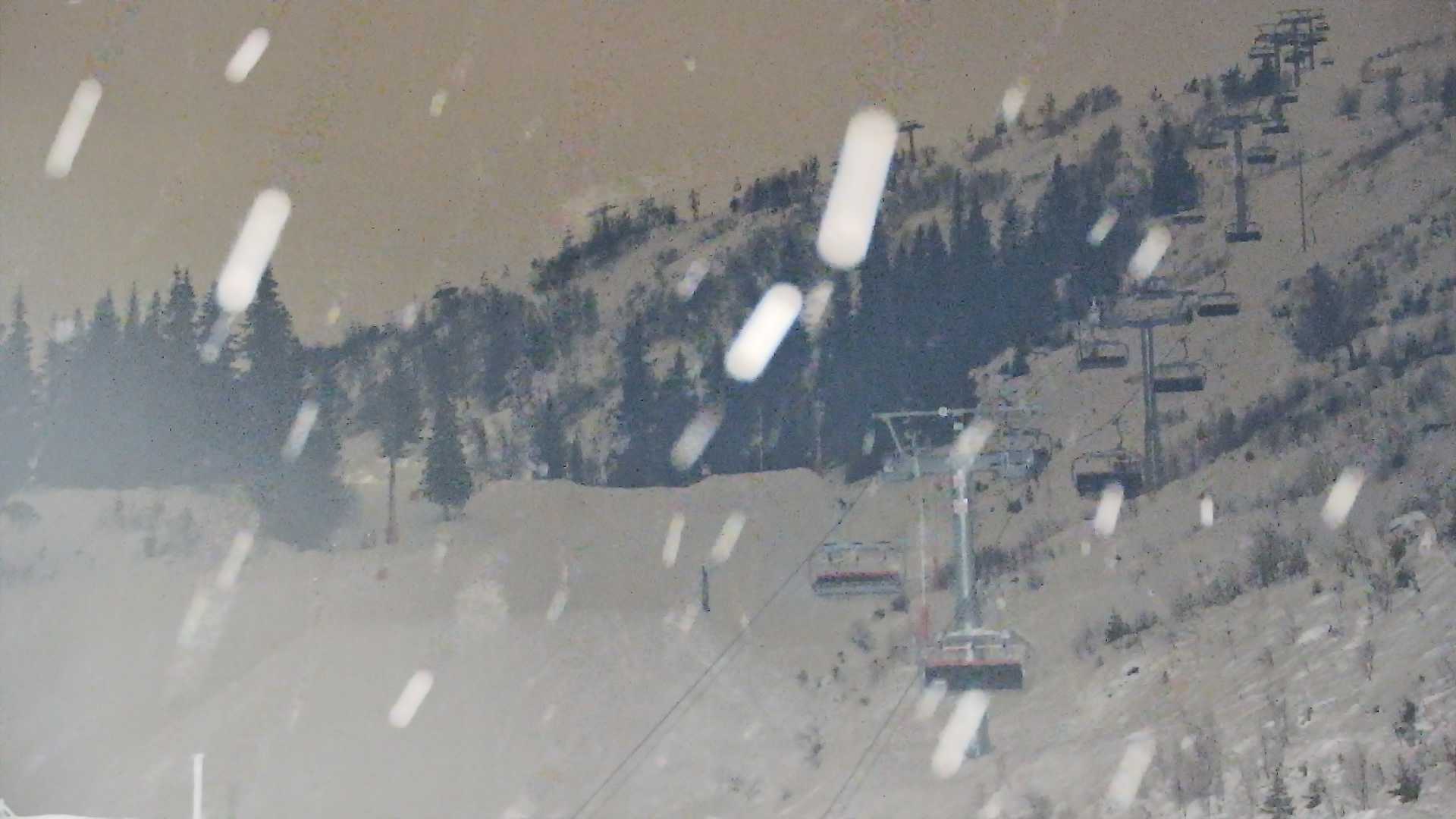 Snowcam
