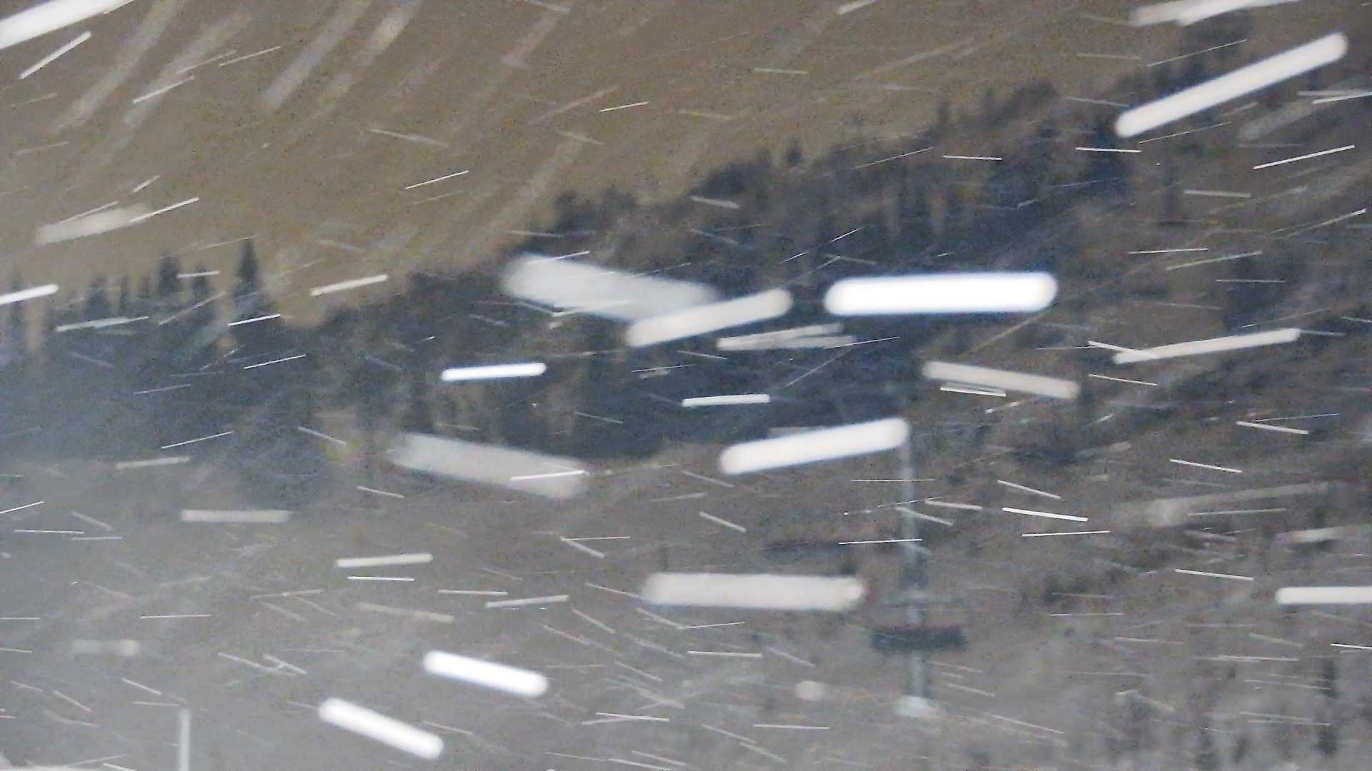 Snowcam
