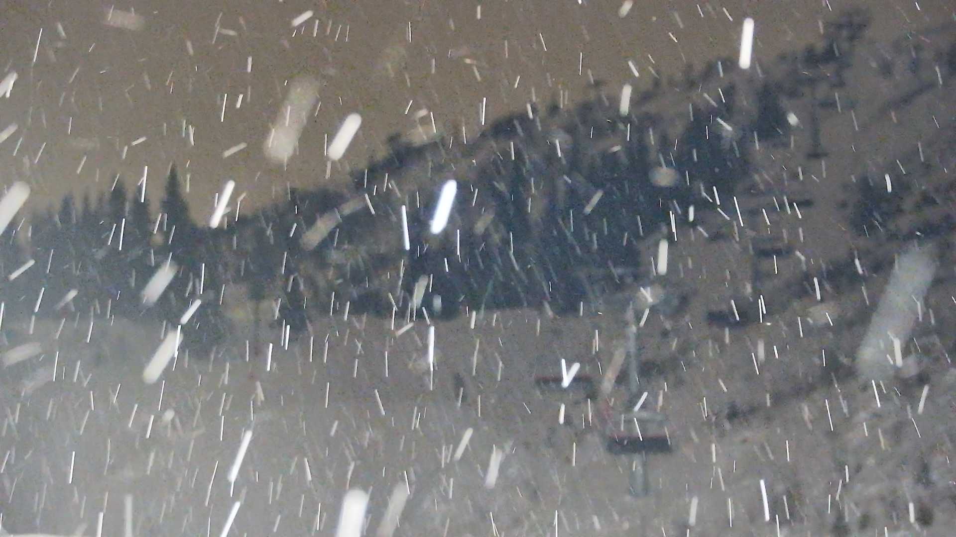 Snowcam