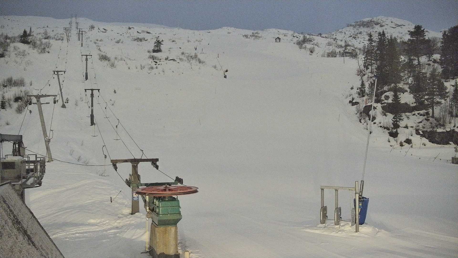 Snowcam