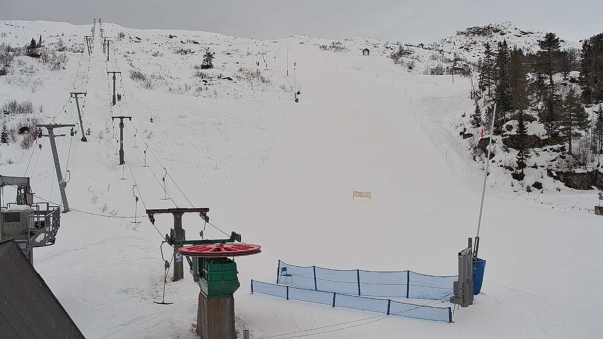 Snowcam