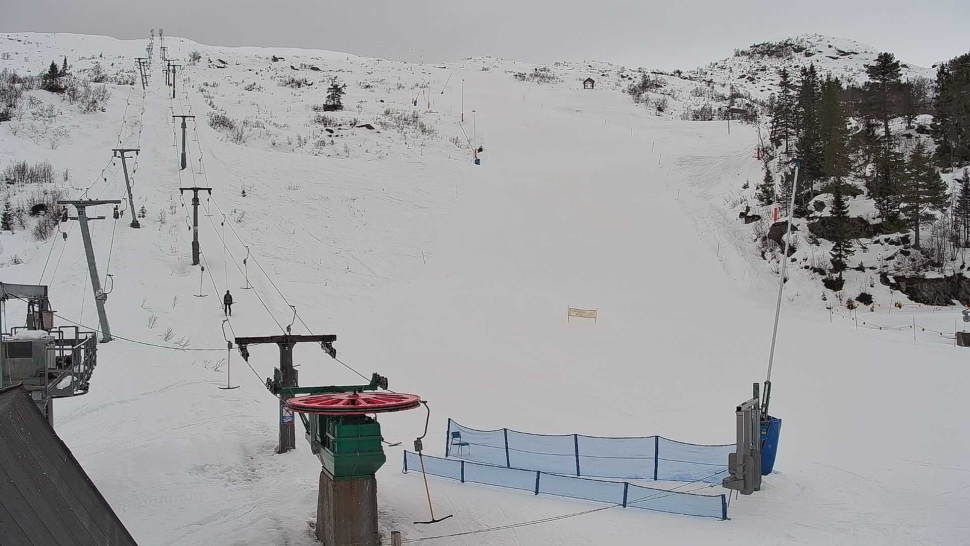 Snowcam